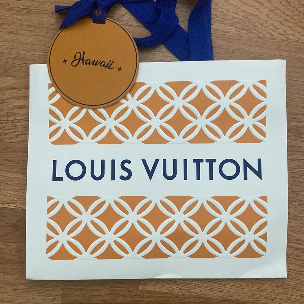 Louis Vuitton shopping bag